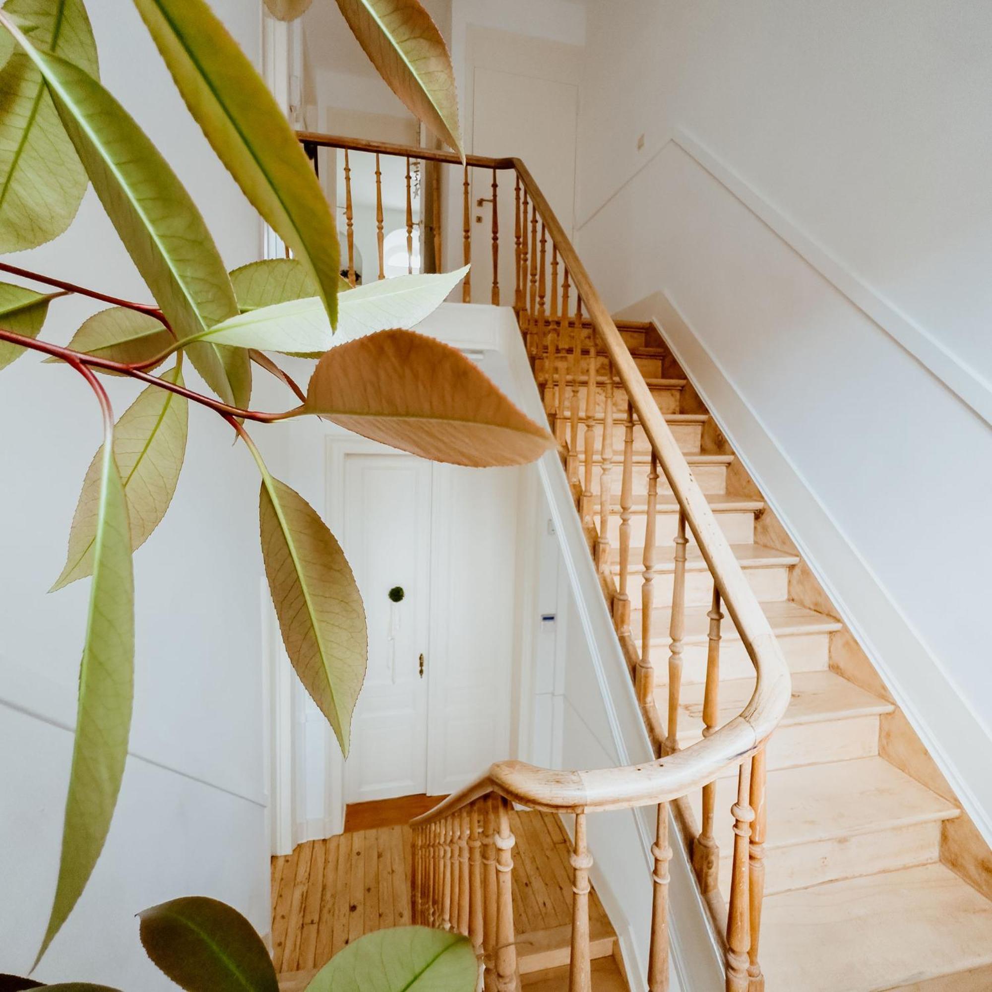 Ambiorix Residence บรัสเซลส์ ภายนอก รูปภาพ
